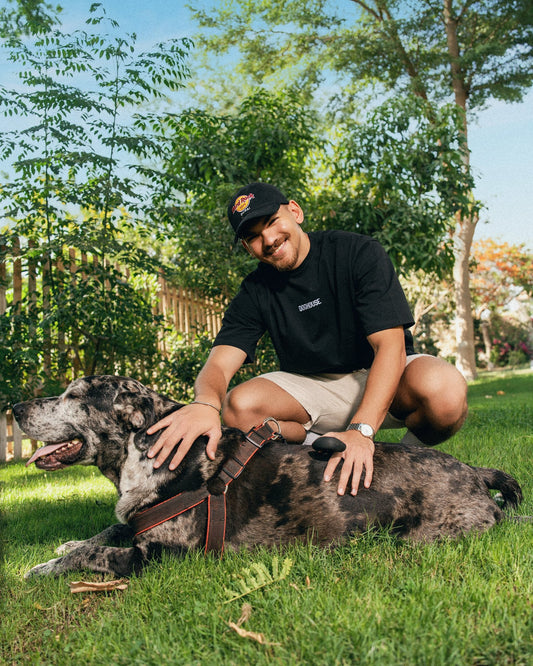 No Bark All Bite Tee