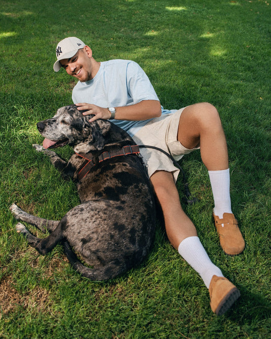 Essentials Baby Blue Tee