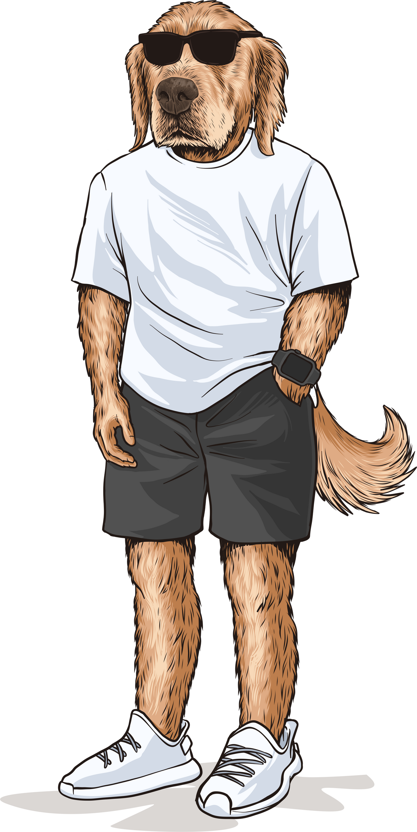 Dutch Black Neck White Tee