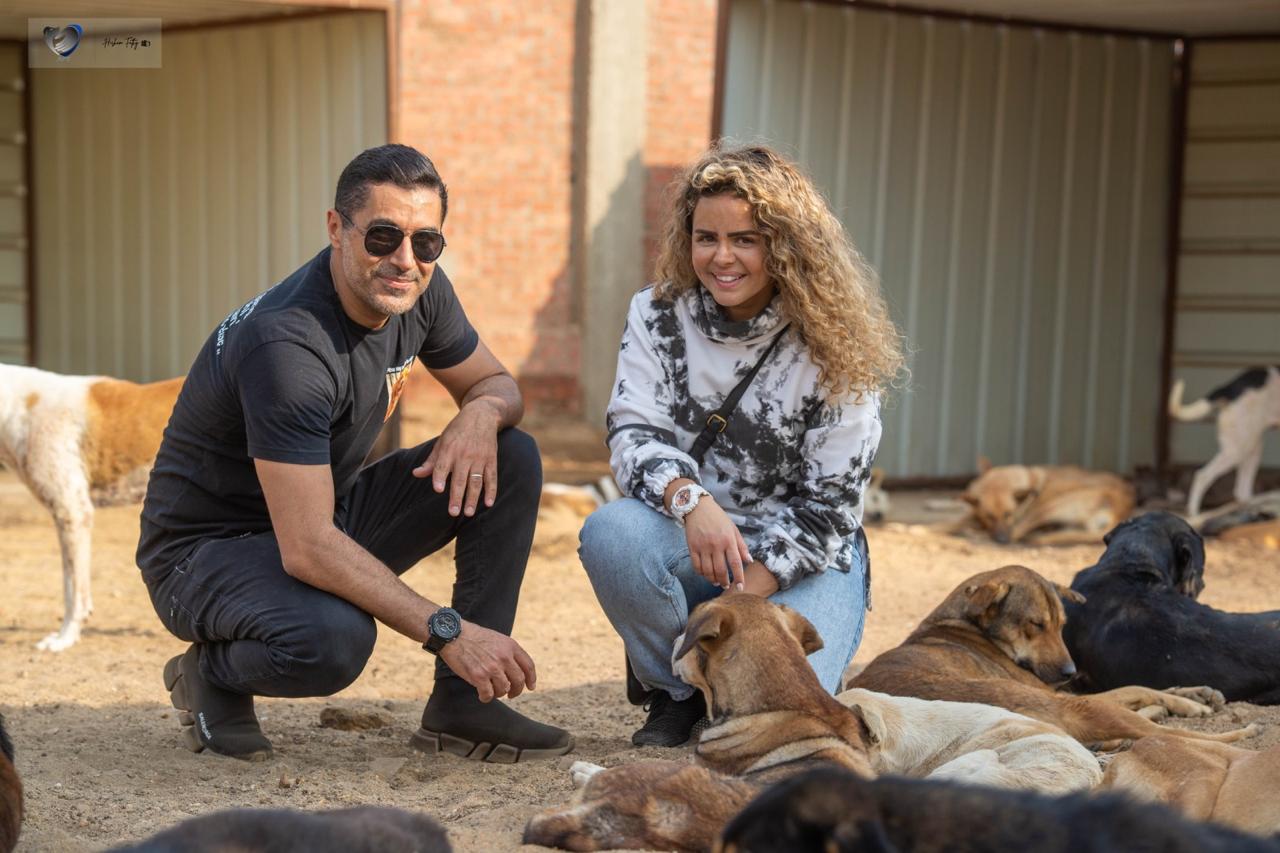 Animal Protection Foundation (APF)