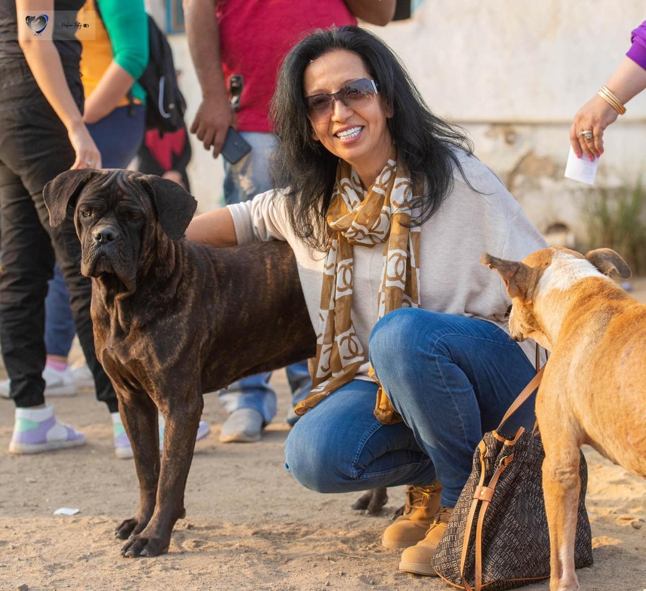 Animal Protection Foundation (APF)