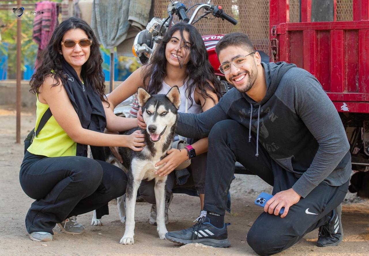 Animal Protection Foundation (APF)