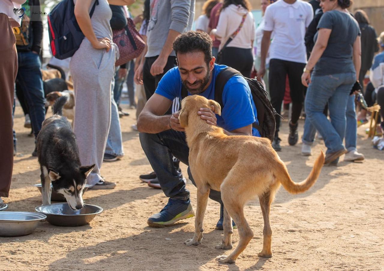 Animal Protection Foundation (APF)